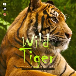 Wild Tiger - Iconpackager Theme