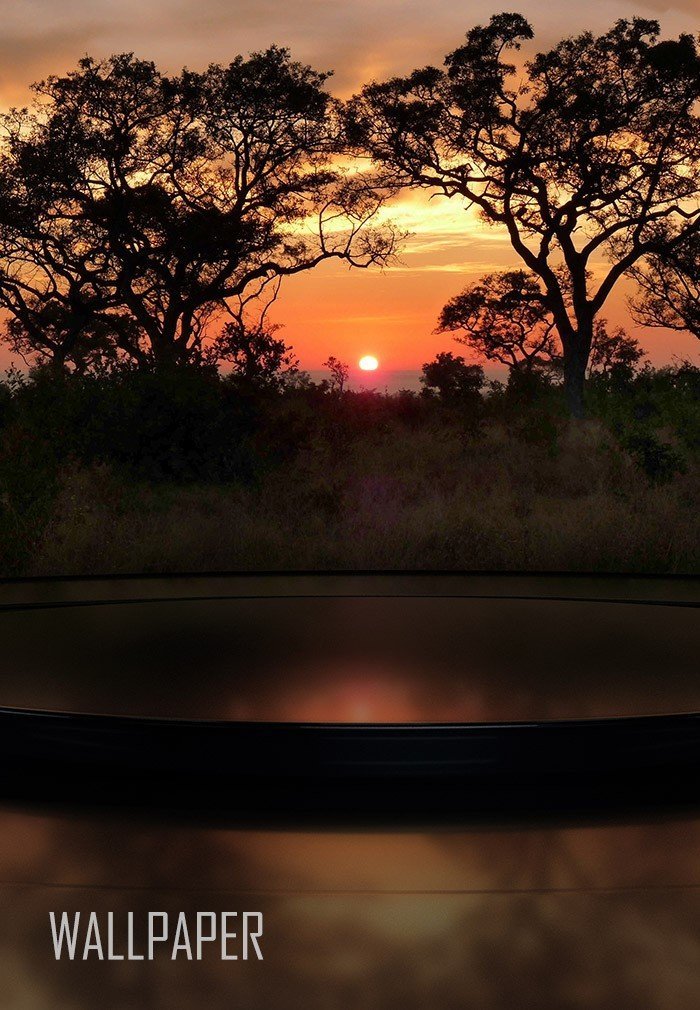 Africa