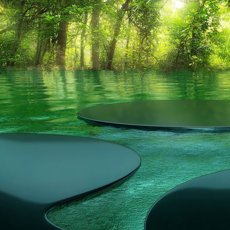 Amazonas - Image 2