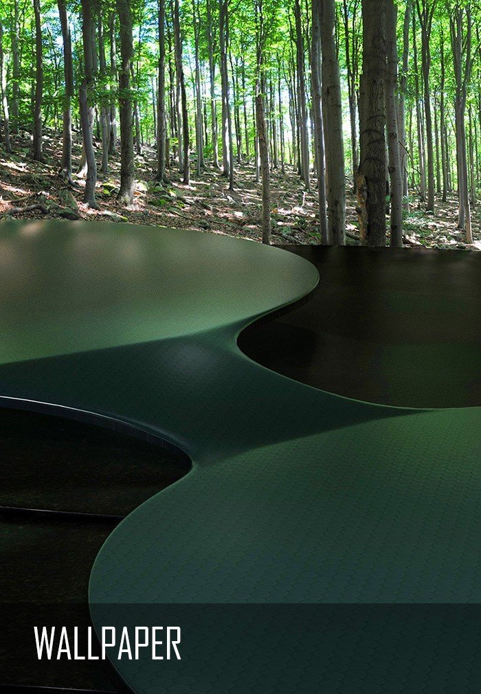 Green Forest - 4K Wallpaper