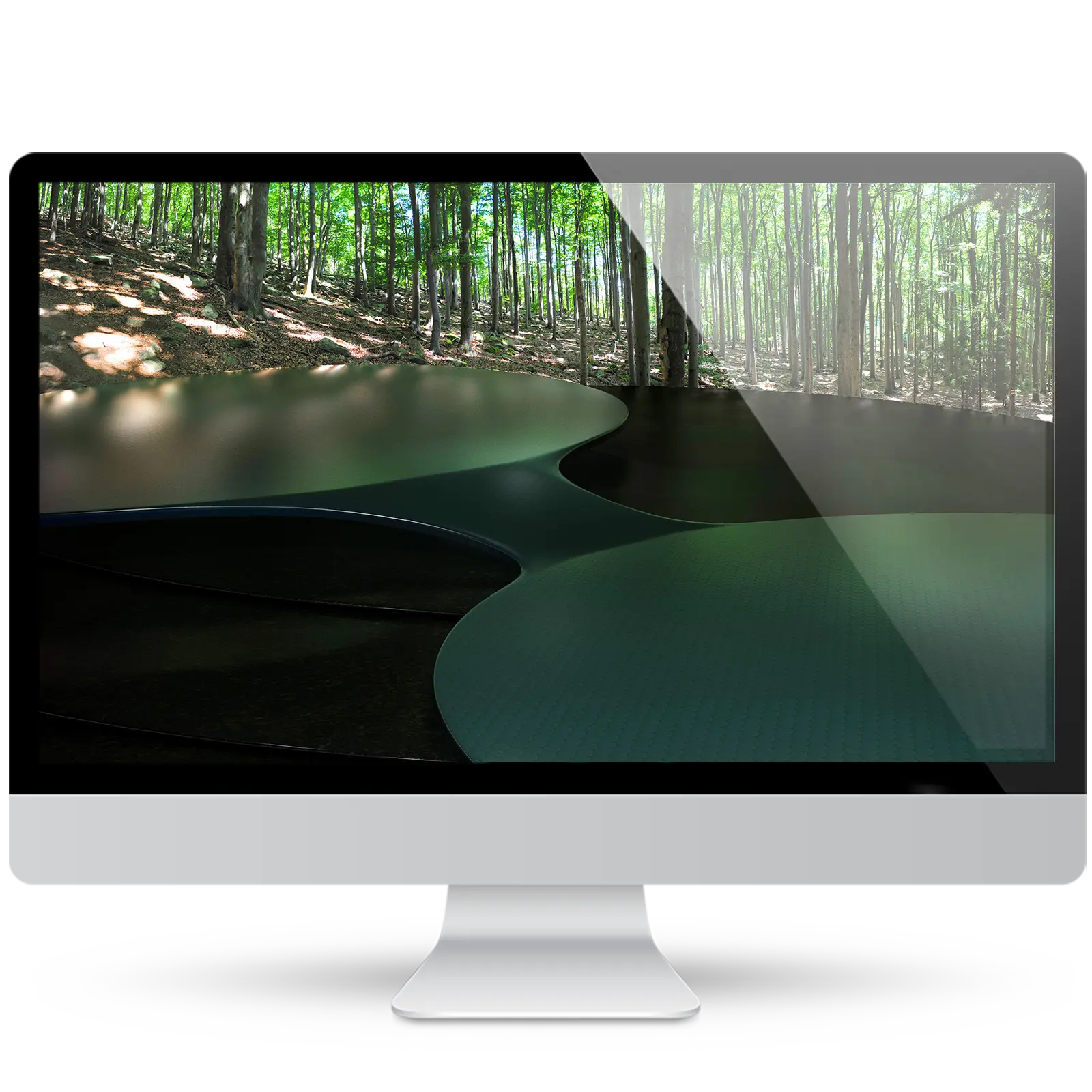 Desktop monitor showing a wallpaper of smooth, curved dark green platforms with a glossy finish, set against a sunlit beech forest.
