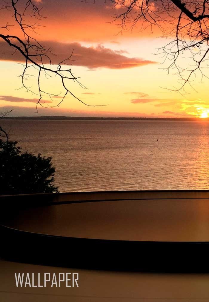 Luxury Peace