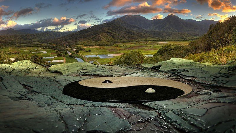 Yin-Yang - Imagen 2