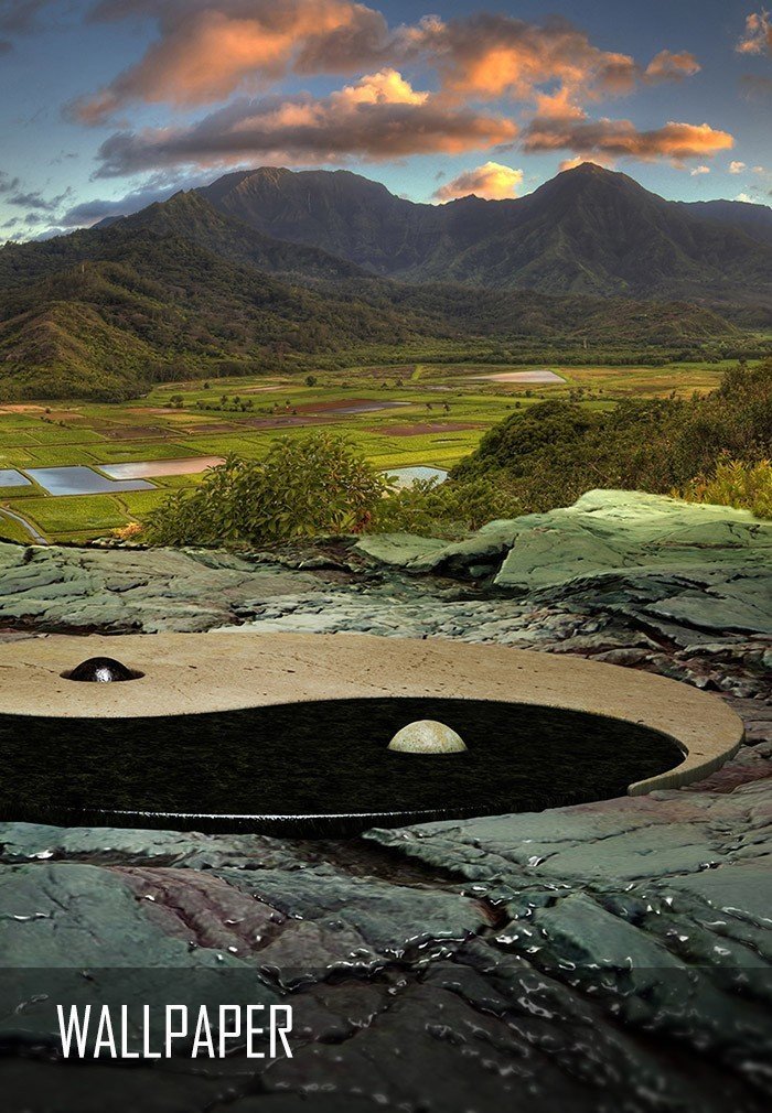 Yin-Yang